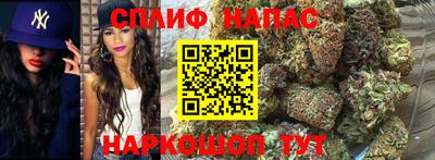 прущие грибы Бугуруслан